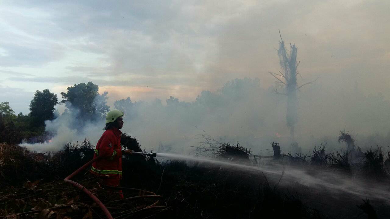 Jelang Malam, Api Masih Membesar di Lahan Marpoyan Damai