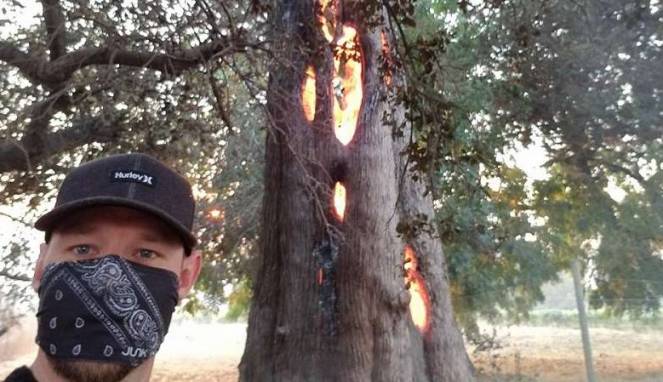 Pria Ini Temukan Pohon Ajaib yang Gegerkan Dunia