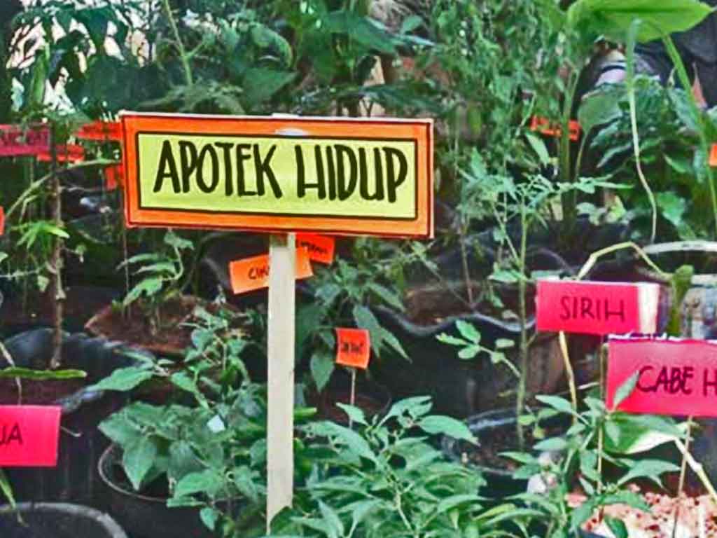 Lomba Pemanfaatan Taman Obat Keluarga, Siak Wakili Riau ke Tingkat Nasional