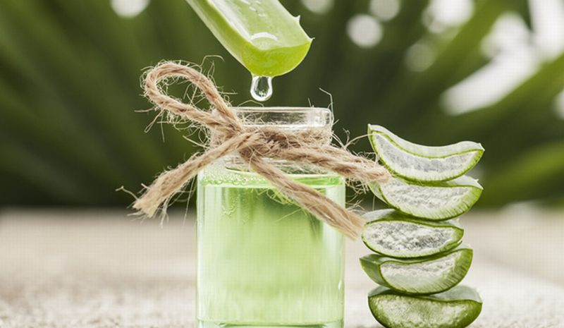 5 Manfaat Lidah Buaya Selain Kecantikan