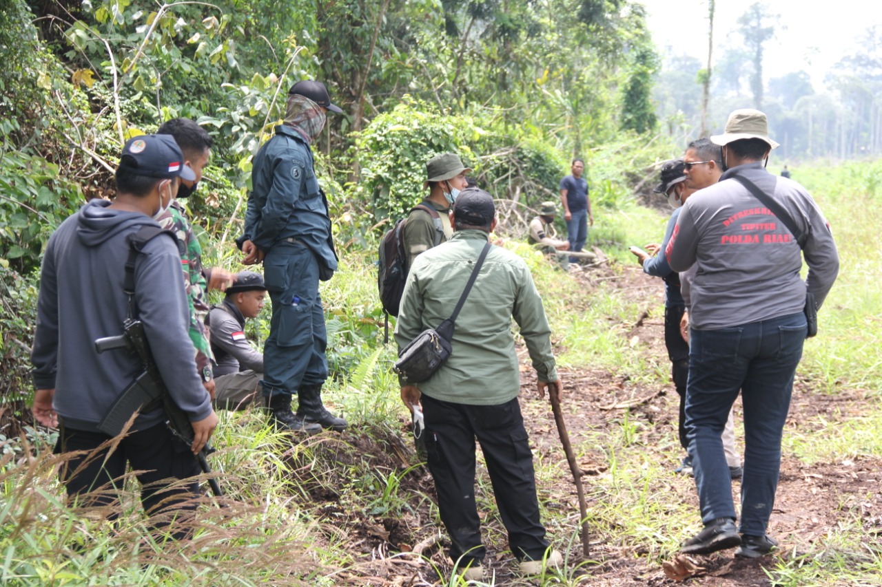 Rambah Hutan Giam Siak Kecil, Tiga Pelaku dan Dua Alat Berat Diamankan