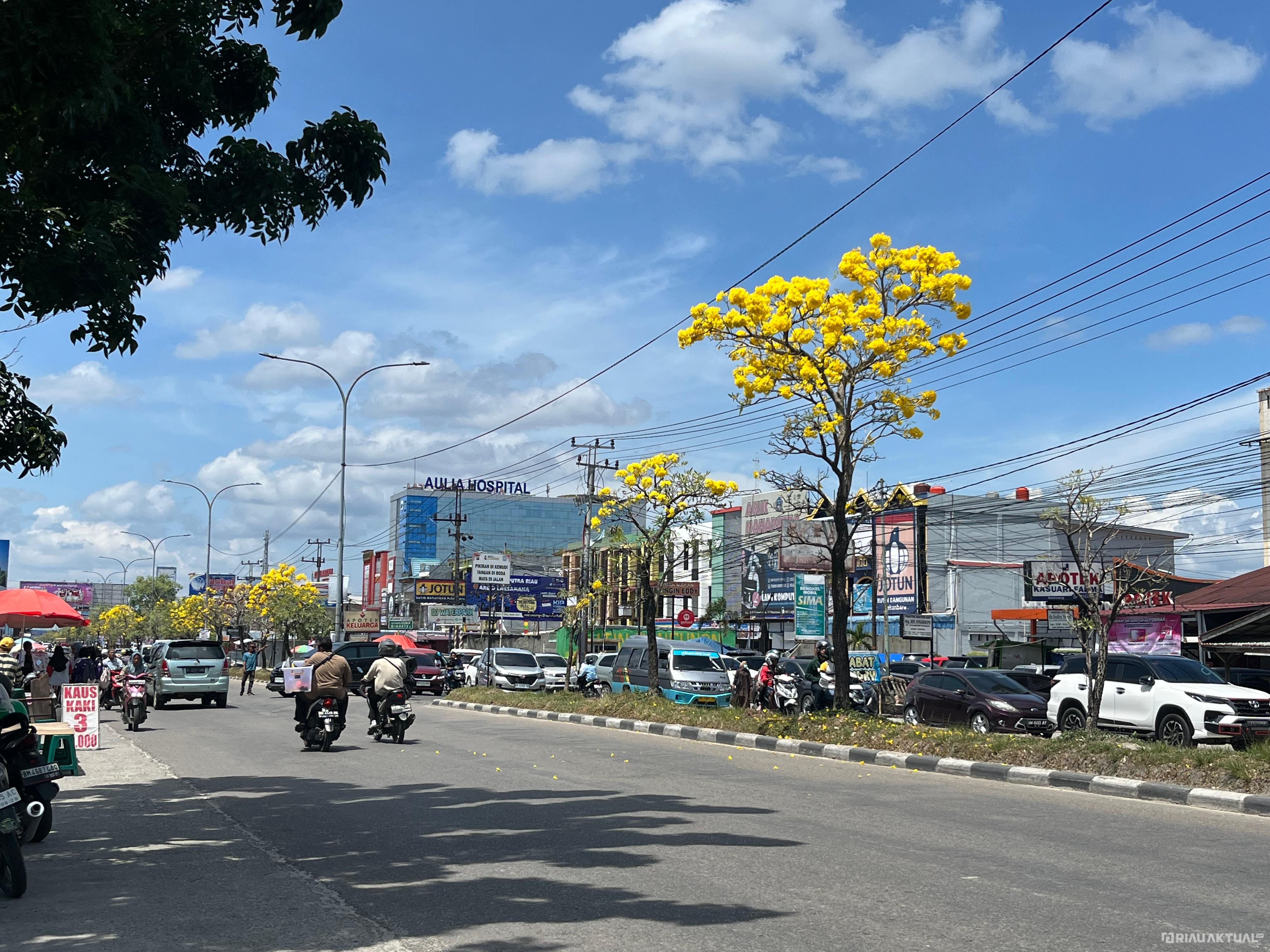 Hari Ini Riau Minim Hujan, Suhu Udara Bisa Capai 34 Derajat Celsius