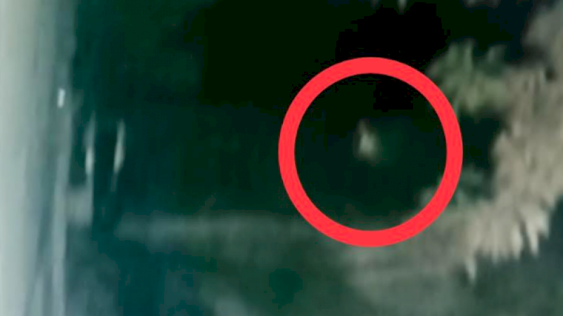 Niatnya Selamatkan Kucing, Kronologi Warga Jeneponto Lihat Pocong Lari Terbirit-birit Dikejar Anjing