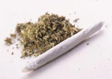 Simpan Ganja Kering, Sopir Avanza Ditahan Polisi