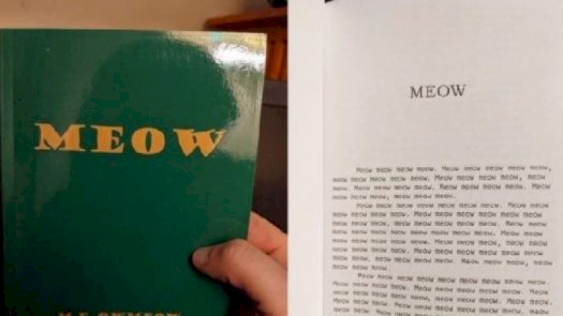 Pria Ini Beli Buku tentang Kucing, Isinya Hanya Tulisan Meow