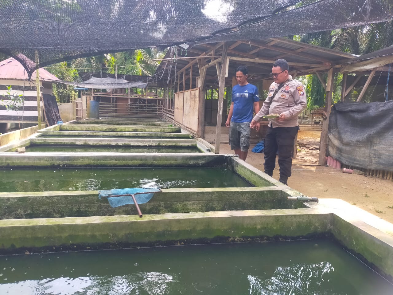 Polsek Bangko Pusako Dukung Ketahanan Pangan di Kepenghuluan Bangko Sempurna