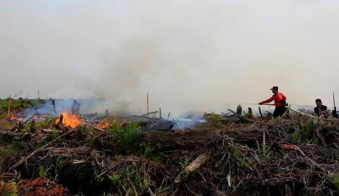 Karhutla di Pekanbaru Meluas, 7 Hektar Lebih Lahan Terbakar