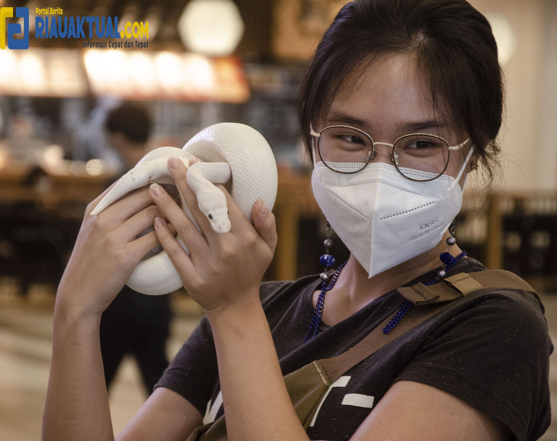 Pekanbaru Reptile Contest Fauna Expo 2021 digelar di Living World Pekanbaru 