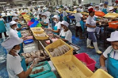 Investor AS Ingin Bangun Pabrik Ikan di NTB