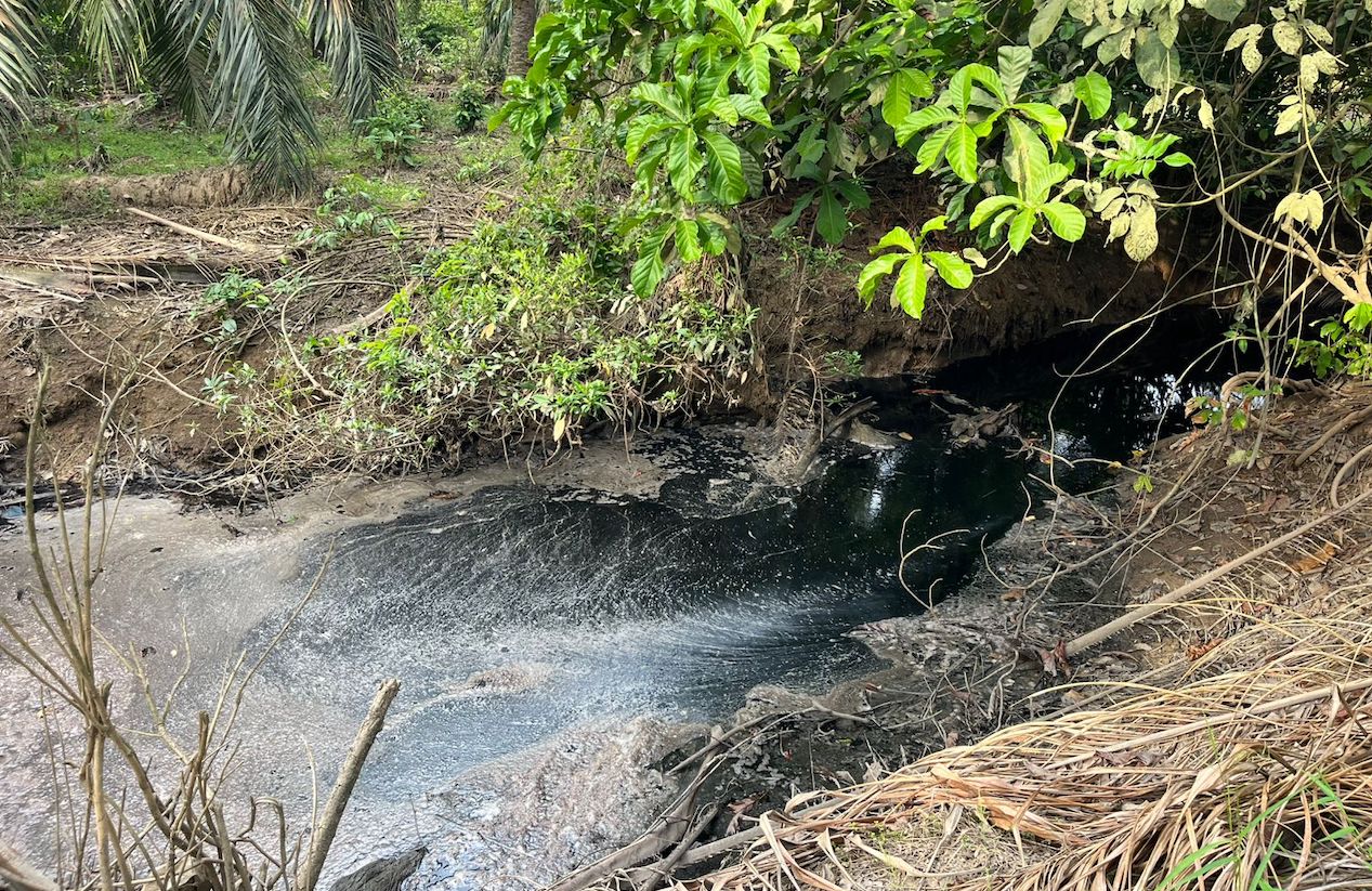 KNPI Temukan Dugaan Pembuangan Limbah PT RSM ke Sungai, Siap Layangkan Gugatan