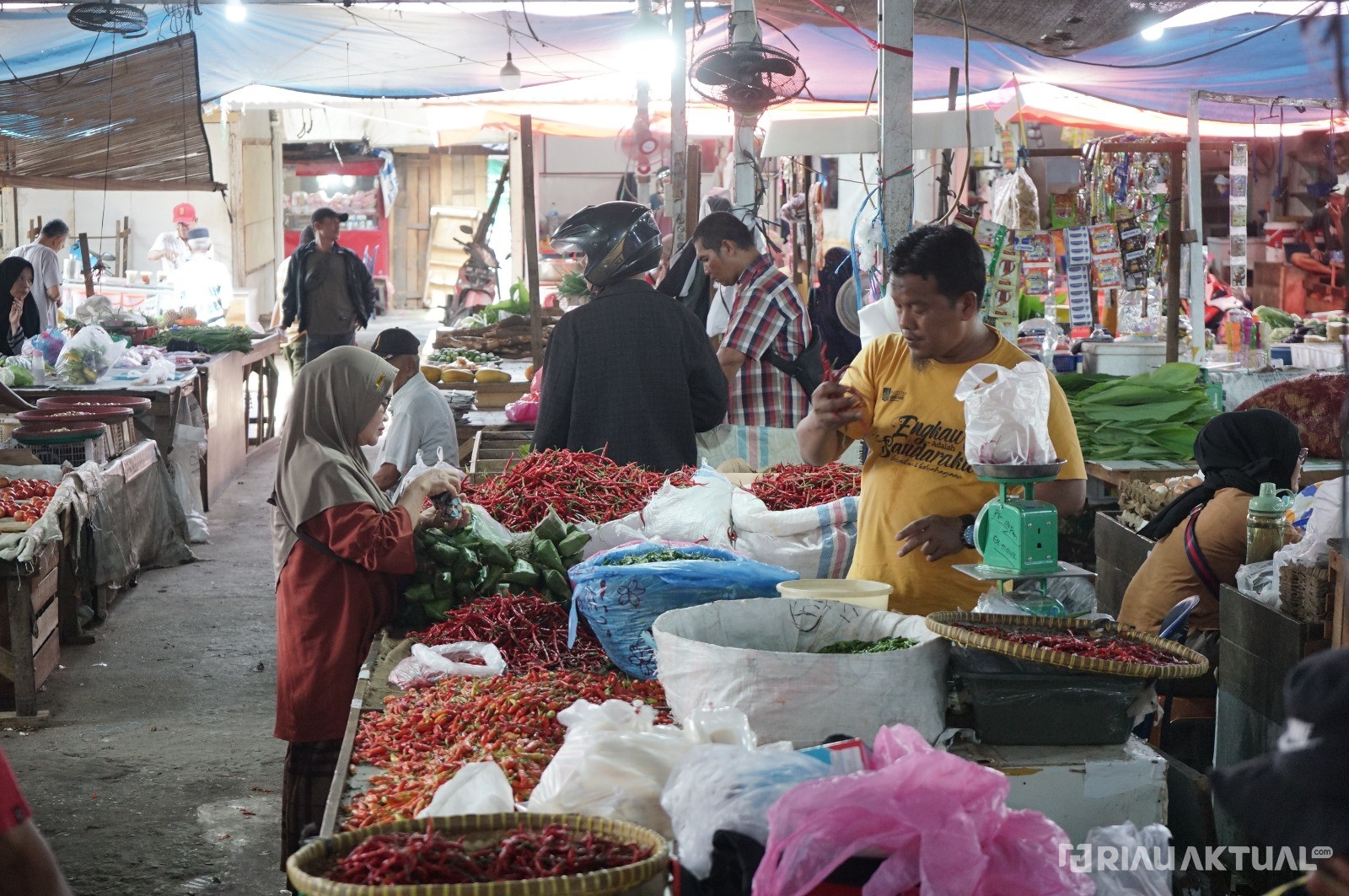 1 Ton Cabai Merah dari Sleman Tiba di Riau, Dijual Rp58 Ribu per Kilogram