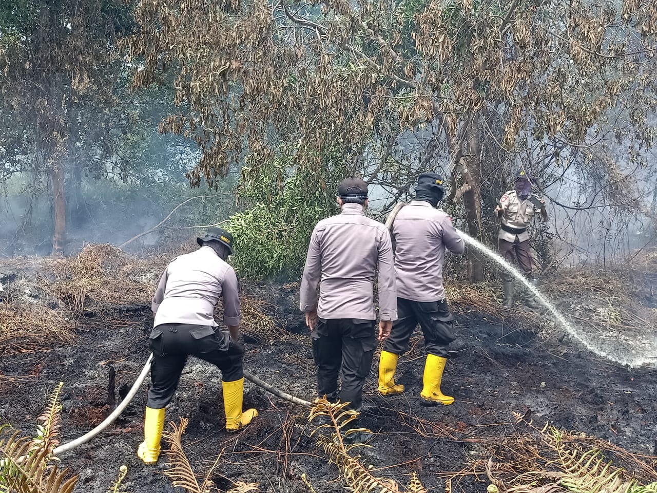 Terpantau Aplikasi Lancang Kuning, Titik Api di Teluk Meranti Berhasil Dipadamkan