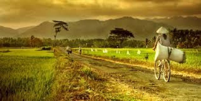 Mitra BUMDes, Upaya Kemendes Dan Bulog Percepat Perekonomian Desa