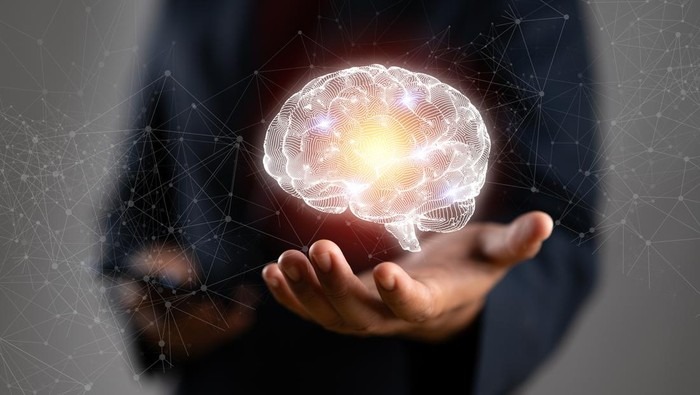 Studi Ungkap Para 'Night Owl' Punya Otak Lebih Encer Dibanding 'Early Bird'