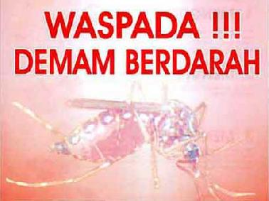 DBD di Pekanbaru Turun 50 Persen