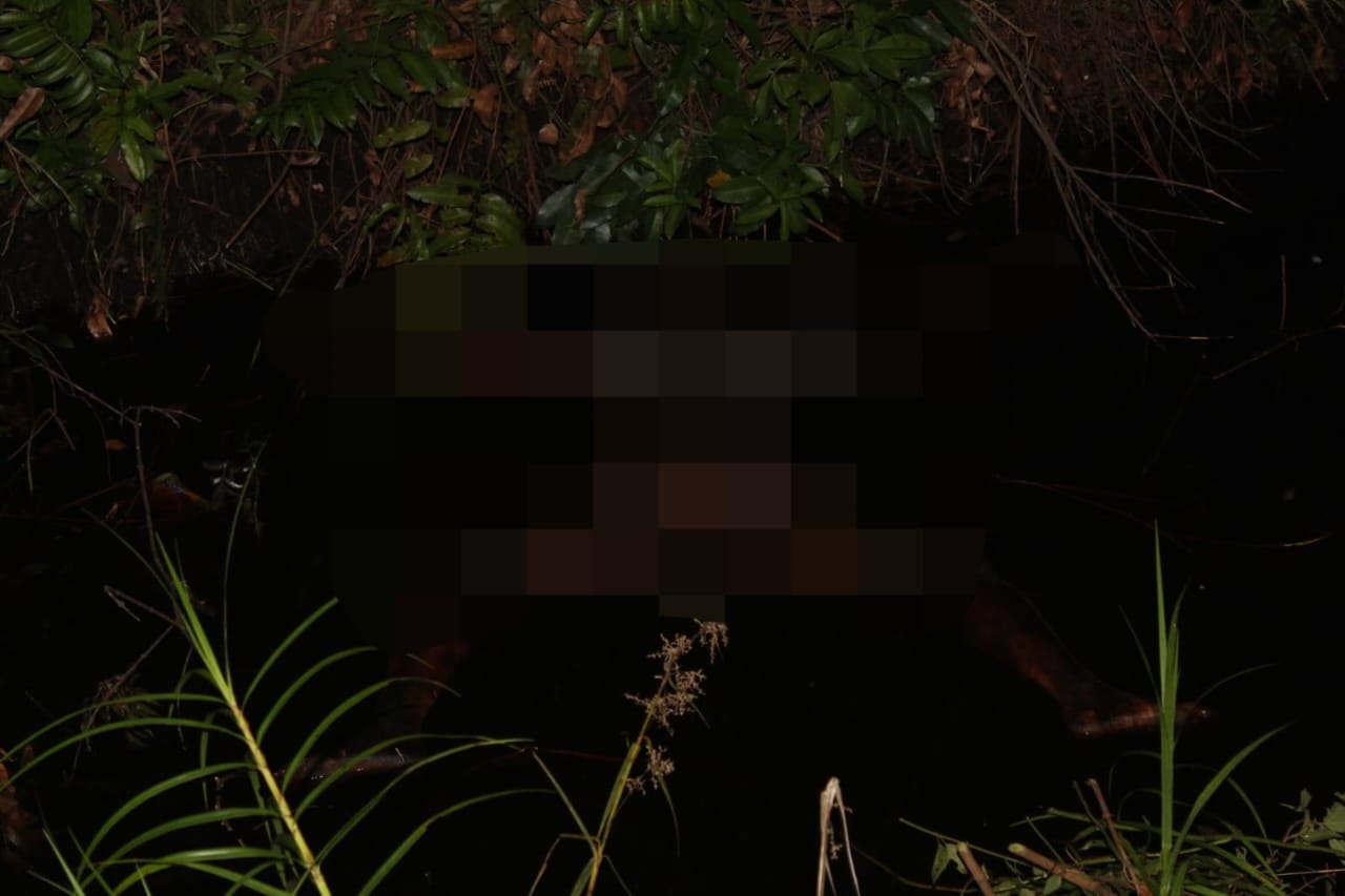 Mr X Ditemukan Tewas Membusuk di Kebun Warga Kampar, Polisi: Sudah Lama Terendam