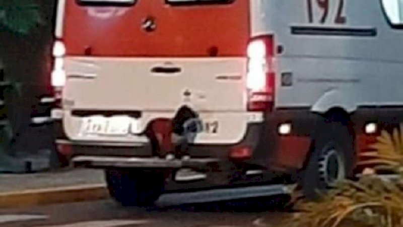 Luar Biasa! Anjing Setia Ikuti Ambulans untuk Temani Pemiliknya yang Sakit