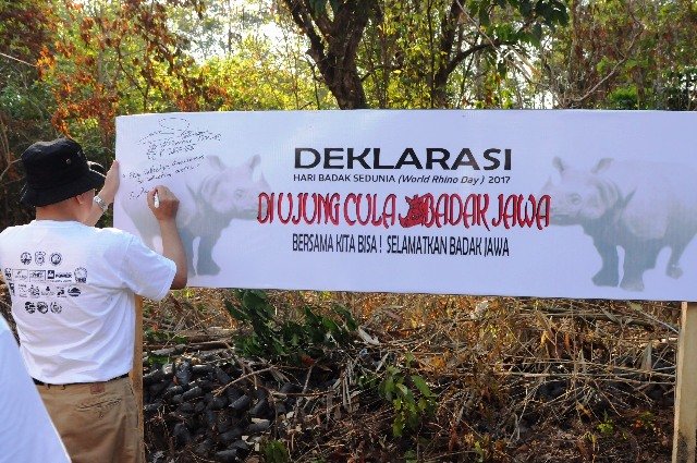 Miris ! Tersisa 67 Ekor, Badak Jawa Butuh Perlindungan Semua Pihak