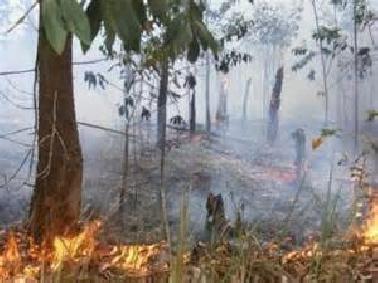 Titik Api Muncul Kembali 36 Titik Tersebar di Riau