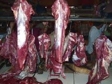 Kebutuhan Daging Sapi di Pekanbaru Tercukupi
