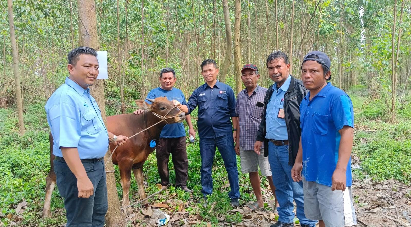 Menjelang Idul Adha, PT IKPP dan PT Pindo Deli Serahkan Belasan Hewan Kurban untuk Masyarakat Siak