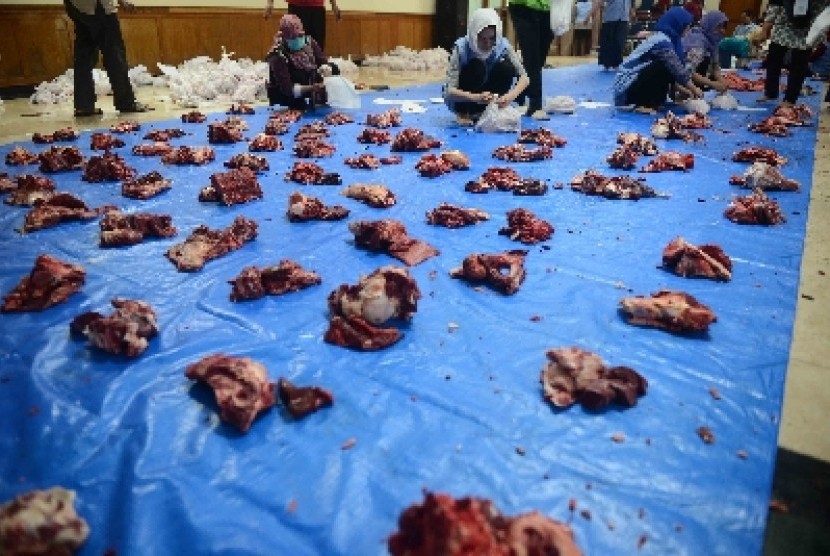 Muhammadiyah distributes sacrificial animal meat to Rohingya children