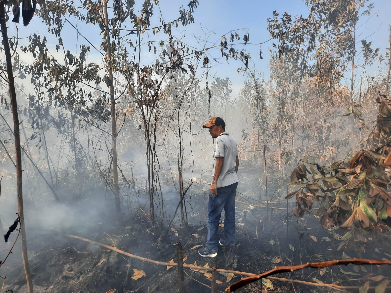 Polisi Ringkus 34 Orang Pelaku Kebakaran Lahan, Paling Banyak di Rohil