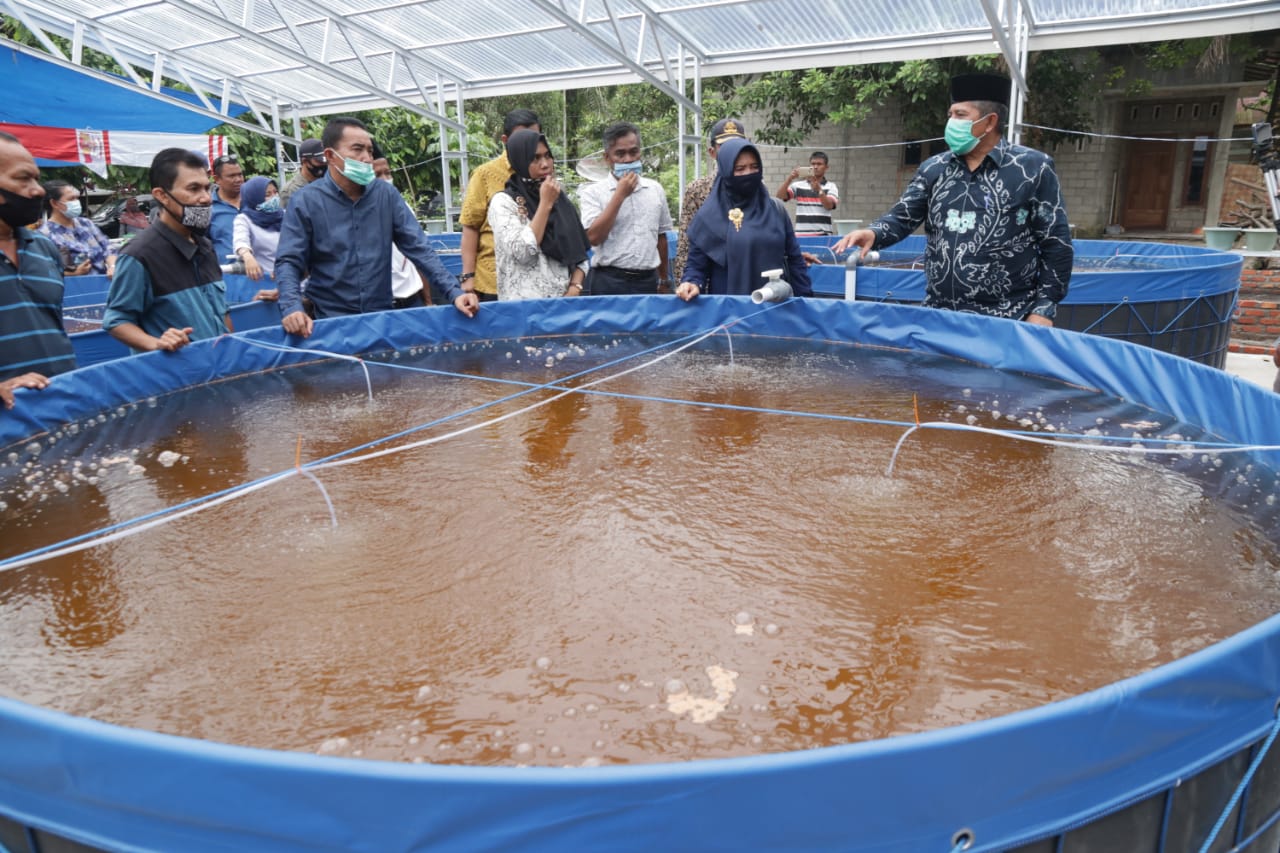 Tinjau Pembangunan Kolam Bioflok di Kampung Libo Jaya, Ini Harapan Alfedri