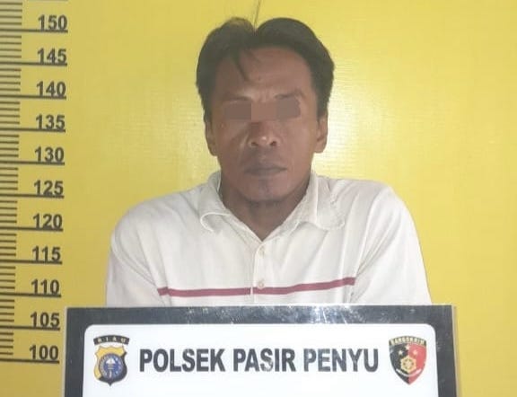 Bejat, Ayah di Inhu Cabuli Anak Kandung Berulang Kali
