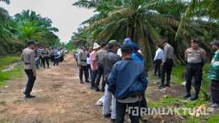 Puluhan Masyarakat Rohil Gelar Orasi Tuntut Hak Plasma dari PT Salim Ivomas Pratama Group