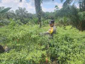 Polsek Bangko Pusako Dorong Ketahanan Pangan Melalui Program Asta Cita