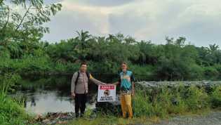 Warga Diminta Waspada, Buaya Kerap Muncul Saat Sungai Bangko Meluap