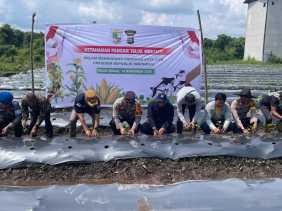 Polsek Teluk Meranti Gencar Tanam Palawija Program Asta Cita Presiden