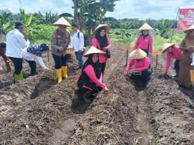 Bhayangkari Polsek TPTM Ikut Andil dalam Program Pangan Berkelanjutan