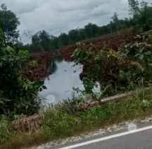 PT Arara Abadi Kembali Berulah Buat Warga Masyarakat 'Menjerit'