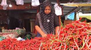 Harga Cabai Melonjak di Pekanbaru, Disperindag Bakal Gelar Pasar Murah