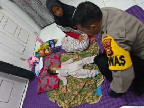 Korban Bertambah! 9 Warga Tenayan Raya Pekanbaru Digigit Anjing Liar