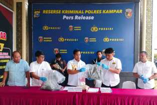 Buka Lahan Sawit, Pria di Kampar Ditangkap karena Bakar Kawasan Suaka Margasatwa Rimba Baling