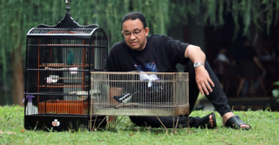 Kalau Gagal Dalam Pilpres 2024, Anies Masih Mungkin Ikut Pilkada DKI Lagi