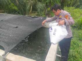 Polsek Bangko Pusako Gelar Pembinaan Ketahanan Pangan di Teluk Bano I