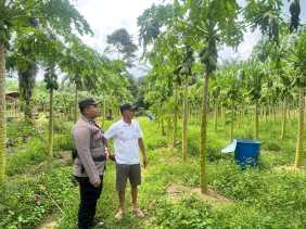Polsek Bangko Pusako Dukung Ketahanan Pangan Program Presiden