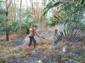 Dua Hektare Hutan Lindung Bukit Betabuh Terbakar, Tiga Pelaku Ditangkap Polres Kuansing