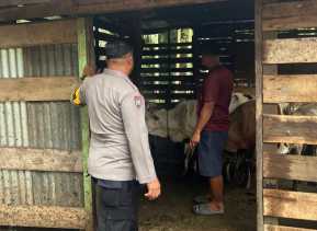 Polsek Bangko Pusako Bina Ketahanan Pangan Warga Kepenghuluan Pematang Ibul