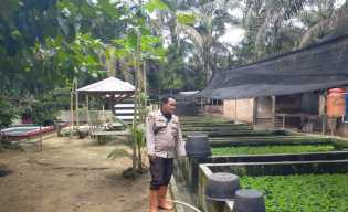 Ketahanan Pangan Nasional Dimulai dari Desa, Ini Langkah Polsek Bangko Pusako