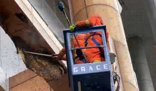 Damkar Pekanbaru Evakuasi Enam Sarang Lebah Madu dari Gedung Puswil Riau