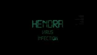 Virus Hendra Bisa Menginfeksi Manusia, Begini 4 Gejalanya Menurut IDI