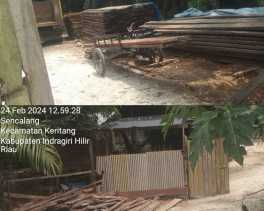 Sawmill di Indragiri Hilir Riau Diduga Olah Kayu Ilegal Logging, Kapolsek Keritang: Kita akan Cek Dulu