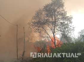 Pemadaman dari Darat dan Udara, Karhutla Tersebar di Tujuh Daerah di Riau