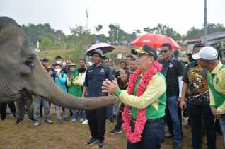 Peringati HKAN, Gubri Syamsuar Tanam Pohon di Tahura Bersama Forkopimda dan Komunitas