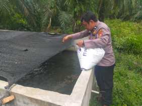 Dorong Ketahanan Pangan Lewat Pembinaan Petani di Teluk Bano, Begini Cara Polsek Bangko